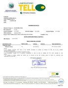 Chemical analysis of Nobleza del Sur day olive oil