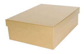 Large Gold Gift Box