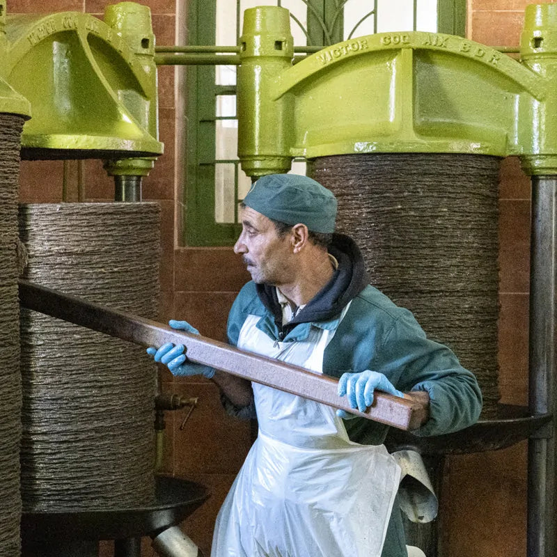 Organic first cold pressed olive oil