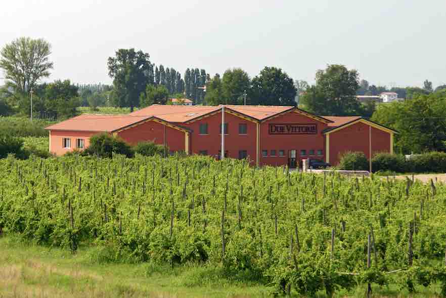 Buy the best balsamic vinegar of Modena IGP