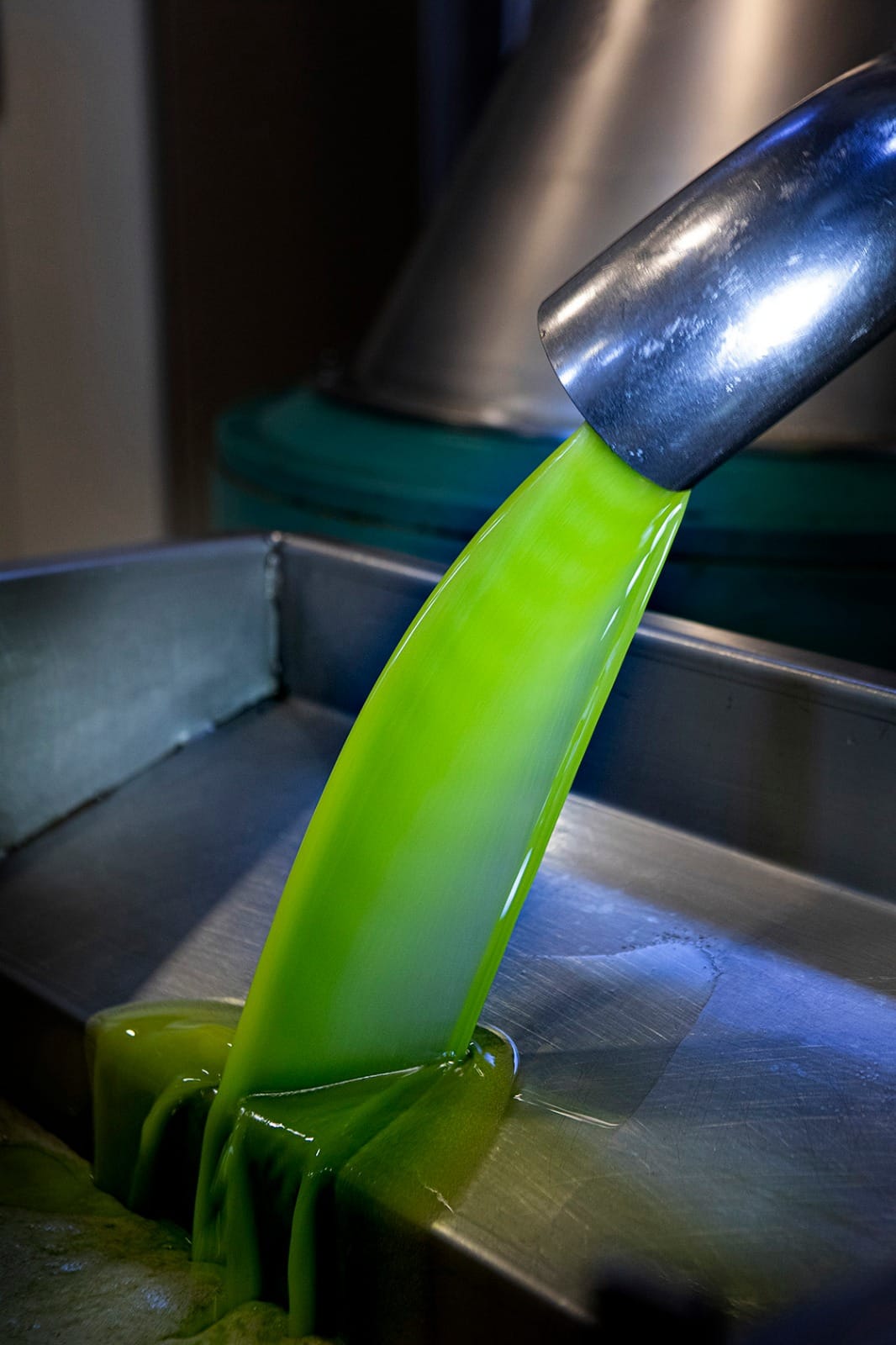 A Buyer's Guide To New Season Olive Oil - Artisan Olive Oil Company