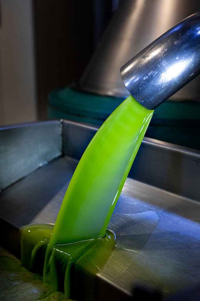 New harvest olive oil by the Artisan Olive Oil Company, buy the best extra virgin olive oil online uk