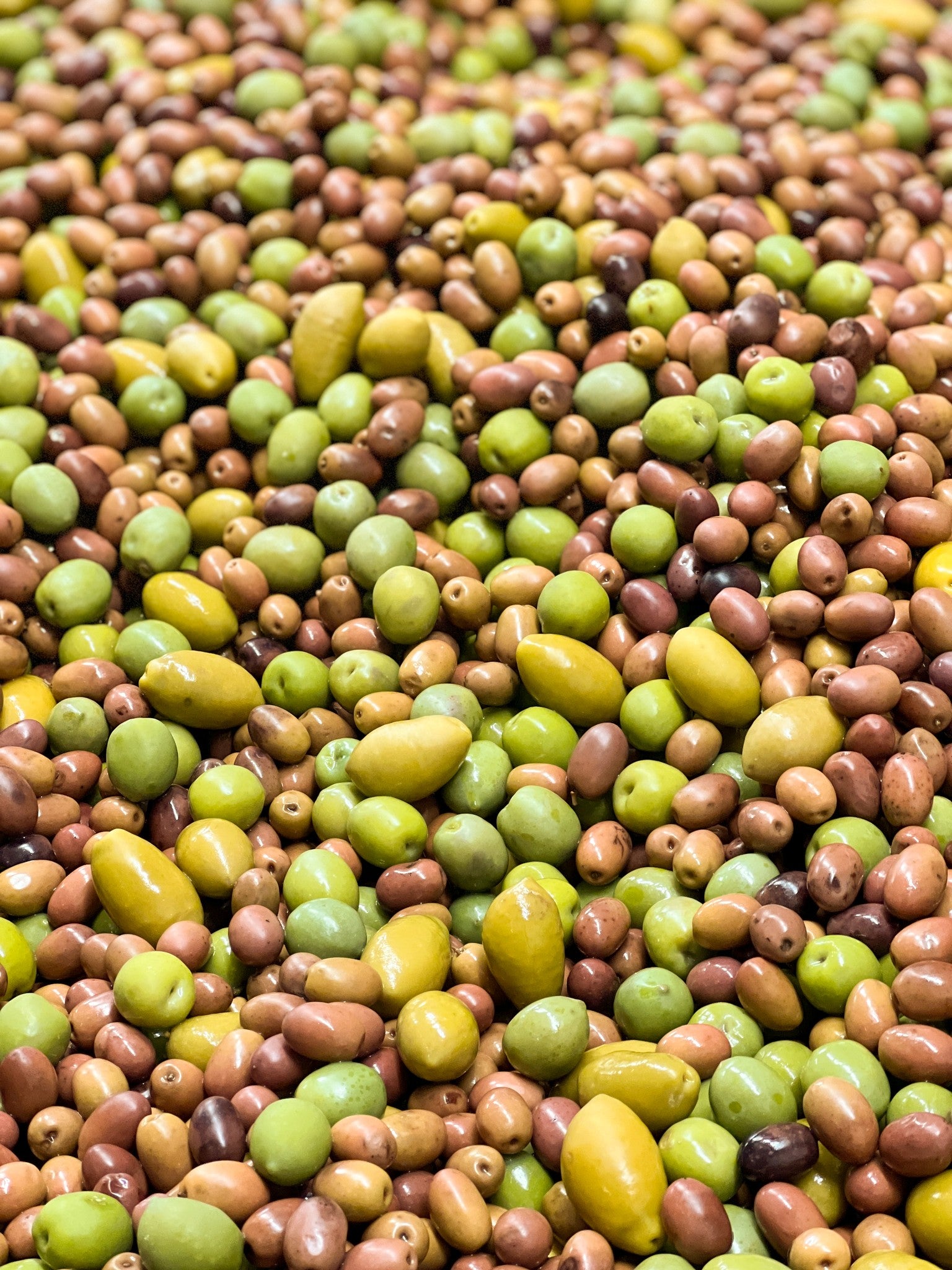 Discover the Secrets of Italian Green Olives: From Harvest to Table