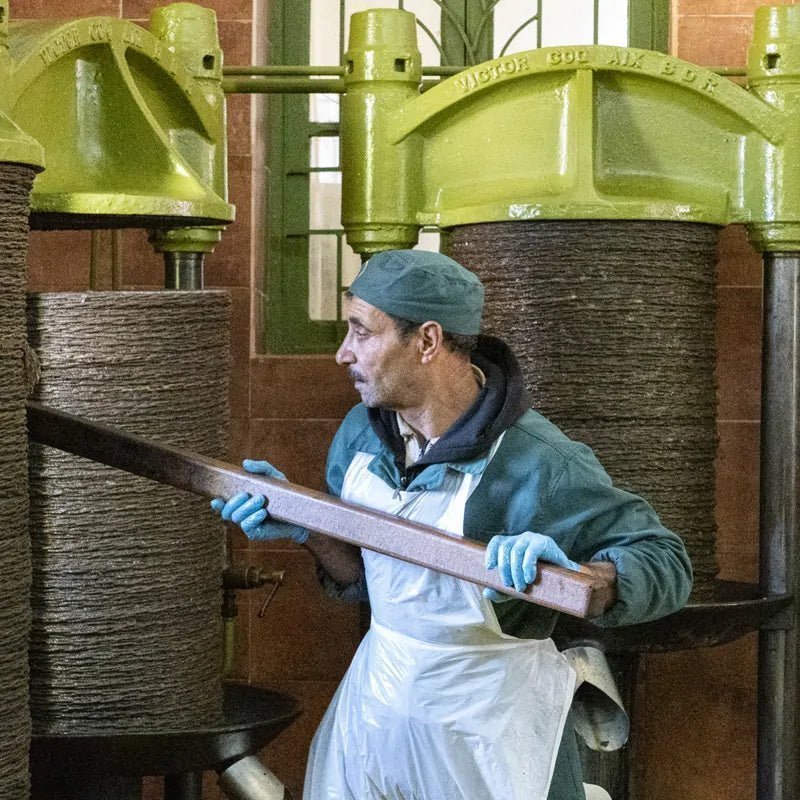 Secrets of Organic Cold Pressed Extra Virgin Olive Oil - Artisan Olive Oil Company