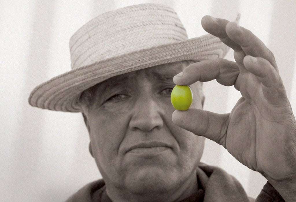 Antipasti and Ingredients - Artisan Olive Oil Company