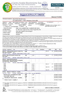 Franci Bio Organic Italian Extra Virgin Olive Oil - Artisan Olive Oil Company