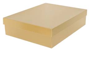 Medium Gold Gift Box